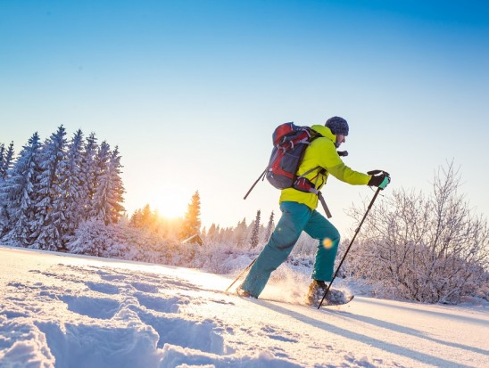 Schneeschuhwandern in Forstau